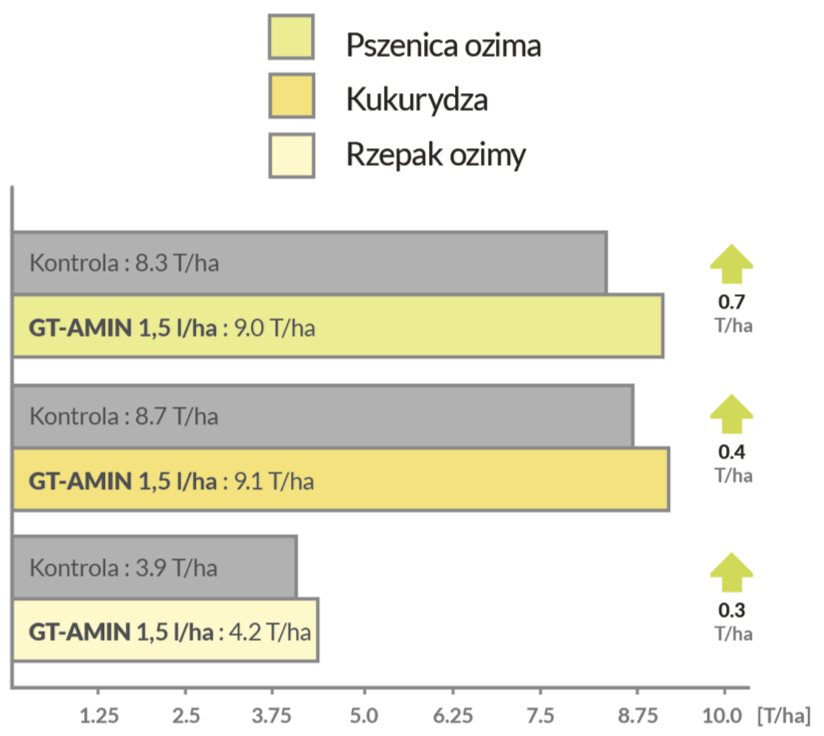 dawkowanie GT-AMIN